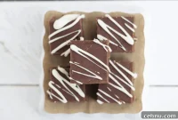Decadent Chocolate Fudge Recipe