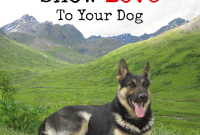 5 Ways to Show Your Dog Love and Save on NexGard Today