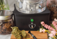 How to Make Potent, Flavorful Edibles with Source Turbo