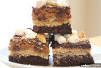 Whoa Big Daddy’s S’mores Bars Recipe: Decadent Campfire Treat