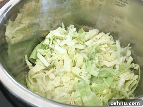 Onion and cabbage browning in an Instant Pot.
