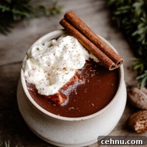 Authentic French Hot Chocolate Recipe 5 Mug of hot chocolate topped with whipped cream and a cinnamon stick.