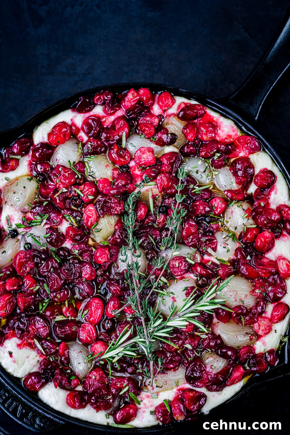 No-Knead Cranberry Rosemary Focaccia with Caramelized Shallots 6 Rosemary Cranberry Focaccia with Caramelized Shallots in a skillet, pre-oven and overhead shot.