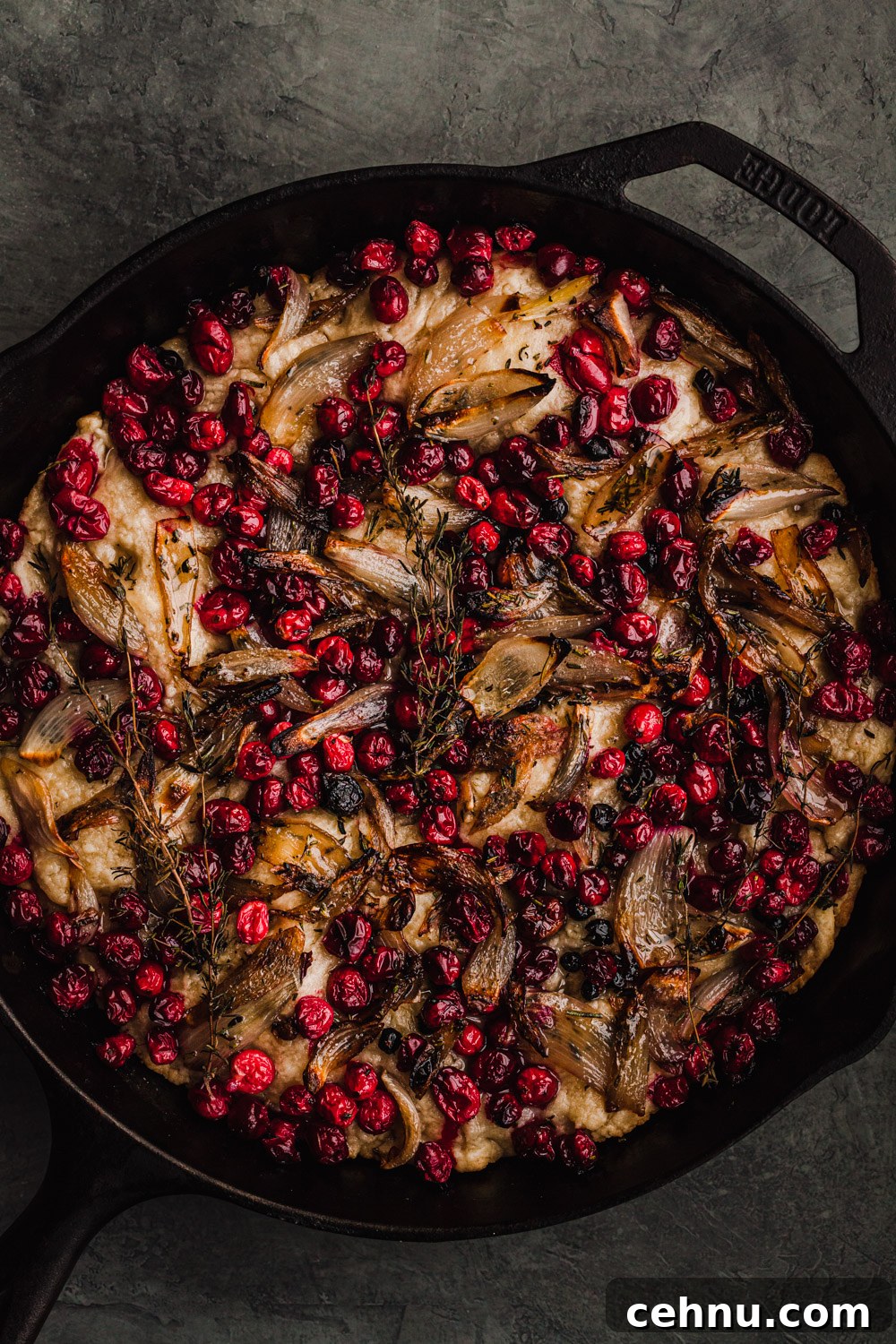 No-Knead Cranberry Rosemary Focaccia with Caramelized Shallots 7 another cranberry focaccia with shallots in a skillet. just out of the oven.