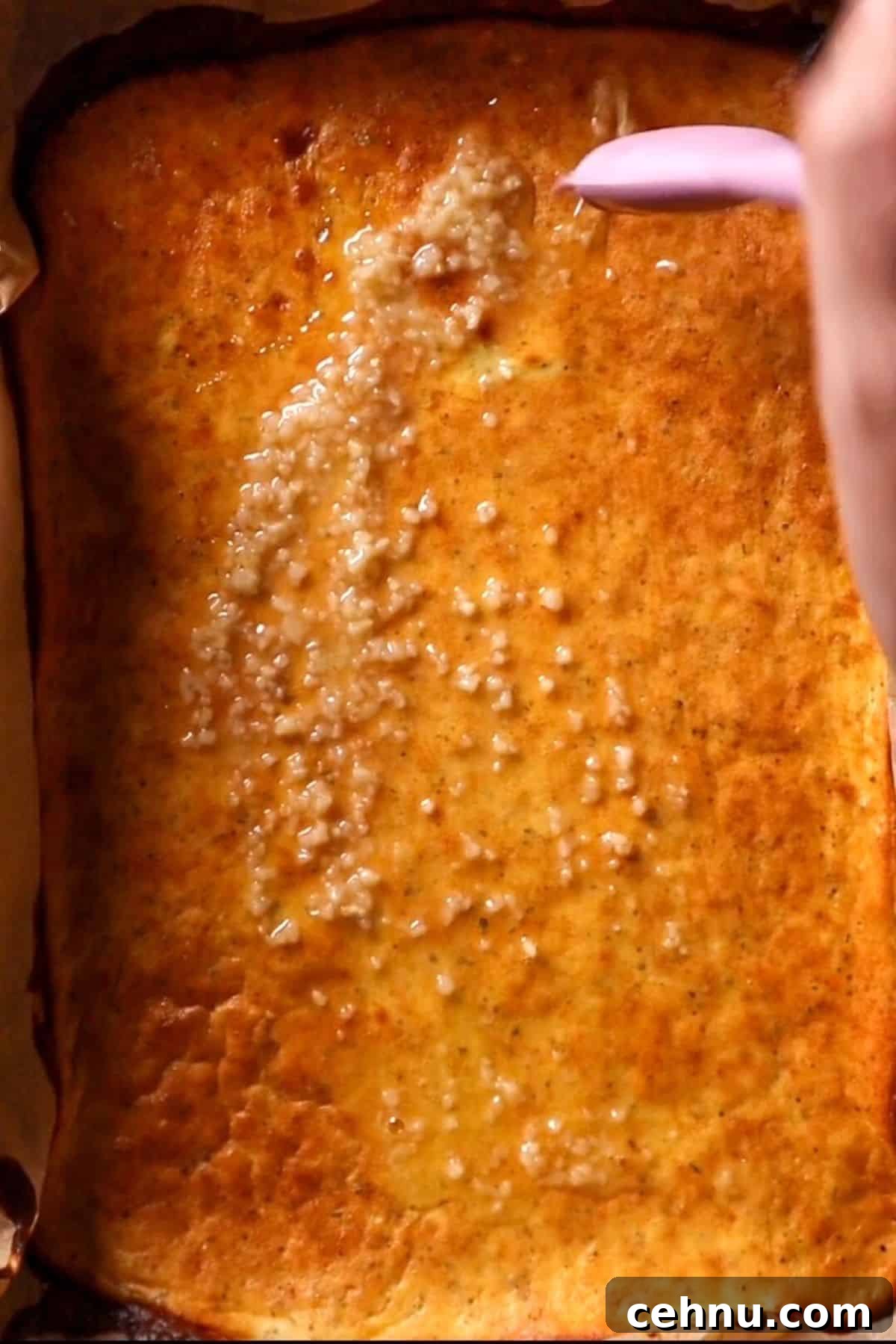 cottage cheese breadsticks