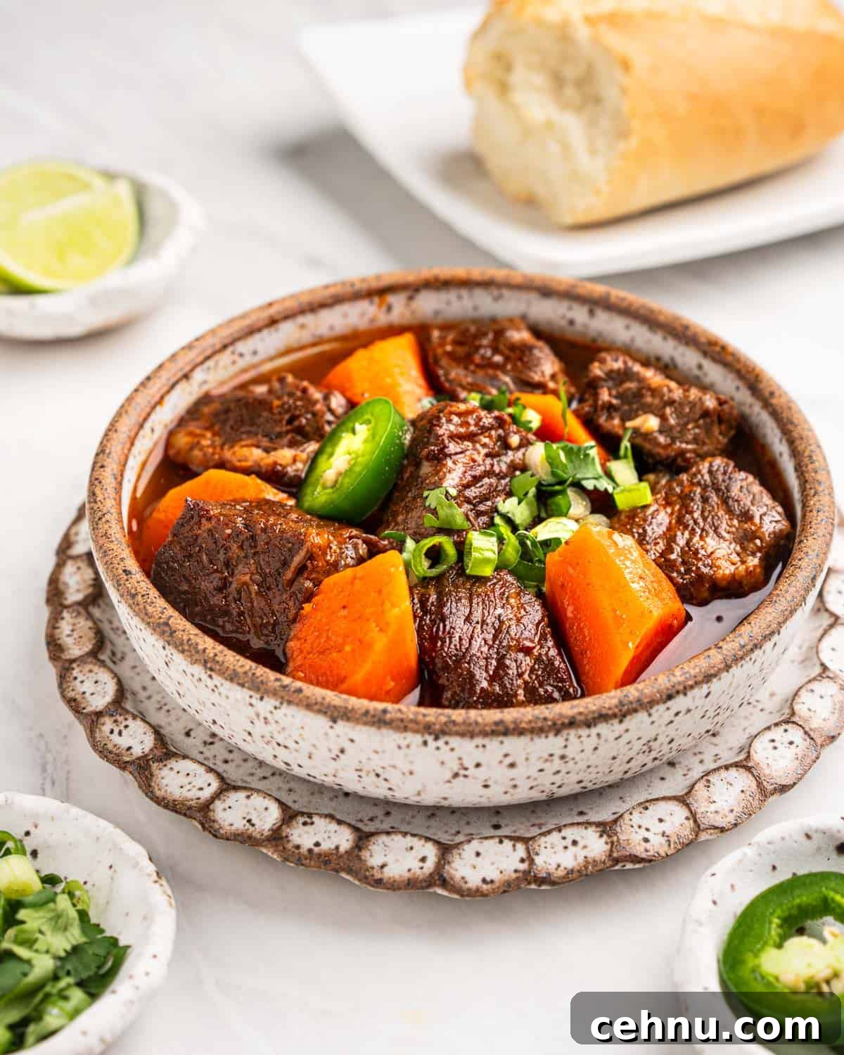 Vietnamese Beef Stew Bo Kho Recipe 11 side angle of bowl of bo kho vietnamese beef stew.