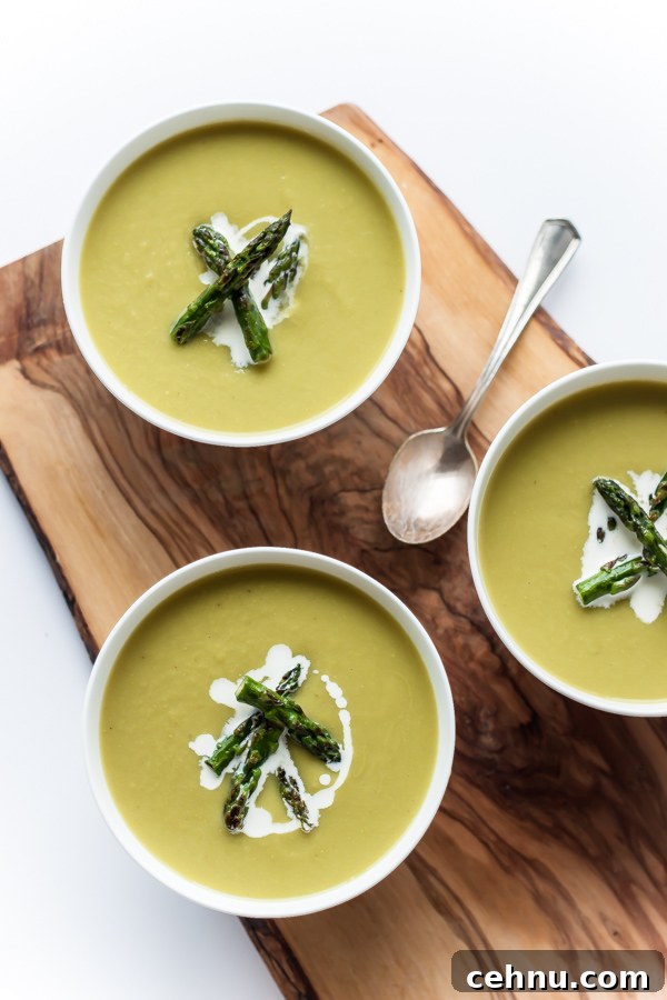 Springtime Asparagus Soup