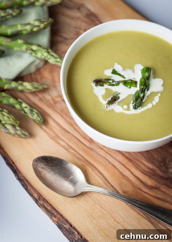 Springtime Asparagus Soup
