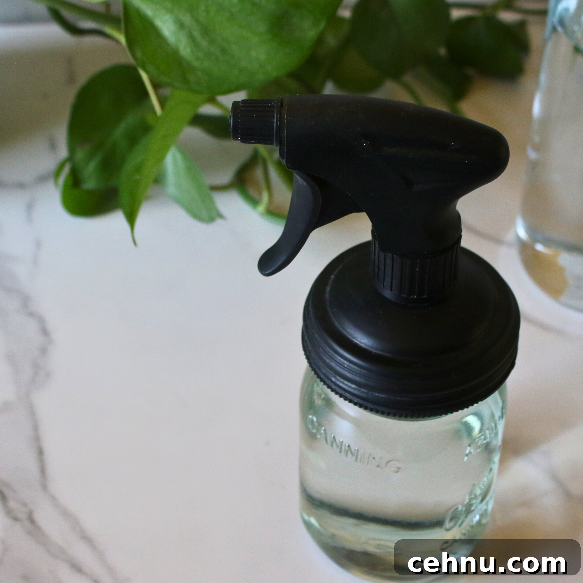 DIY Window Cleaner Recipe for Streak-Free Glass 4 A glass jar filled with window cleaner with a spray nozzle.