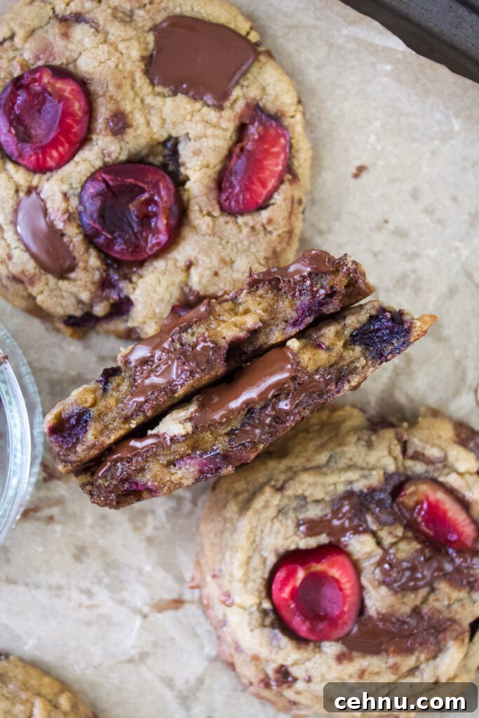 Baked cherry dark chocolate cookies close-up