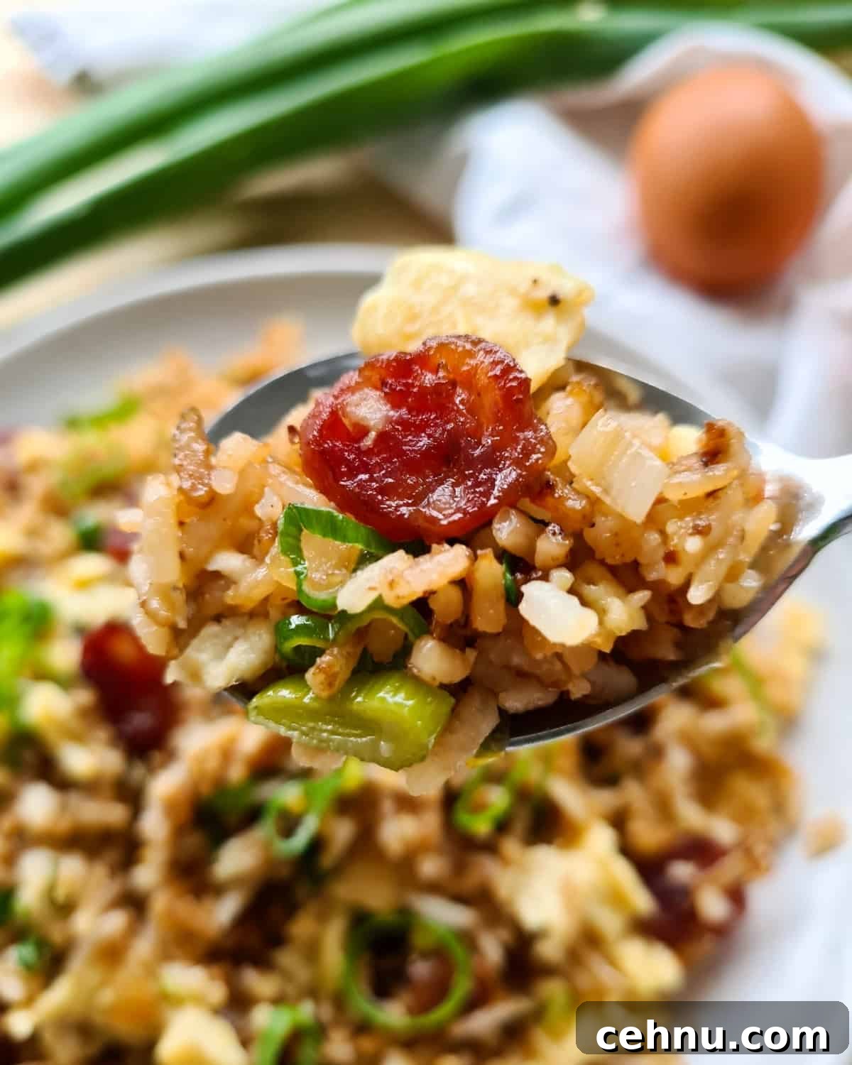 Close up image of a spoonful of fried rice.