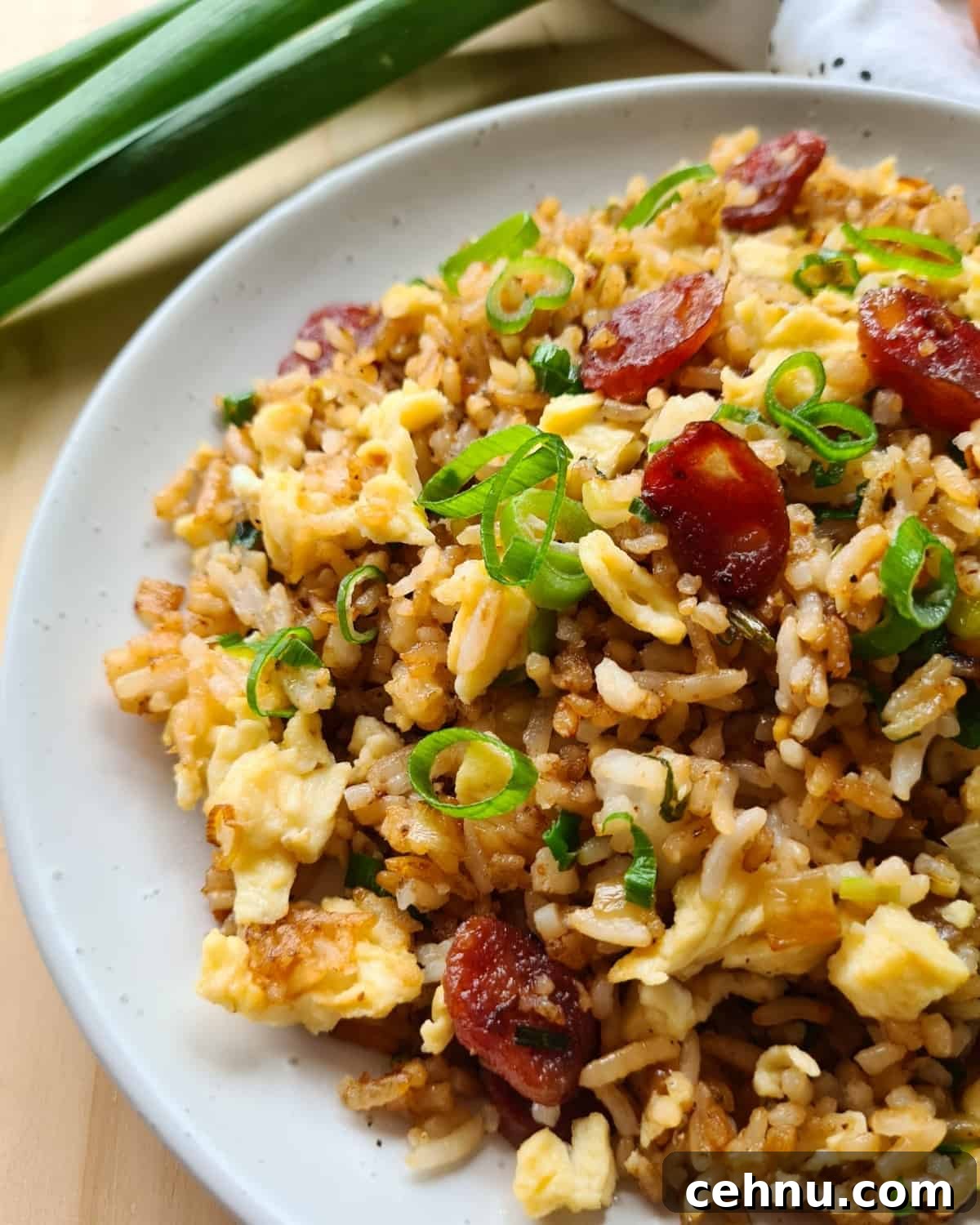Close up side view of Chinese sausage fried rice on a white plate