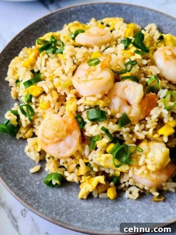 A plate of fried rice