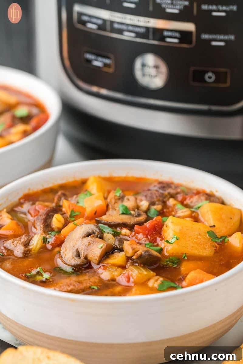 15+ Homemade Soup Recipes for Cozy Weeknight Meals 12 Instant Pot beef and barley soup in a bowl with an Instant Pot behind.