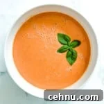 15+ Homemade Soup Recipes for Cozy Weeknight Meals 24 A white bowl filled with tomato soup and a sprig of basil on top.