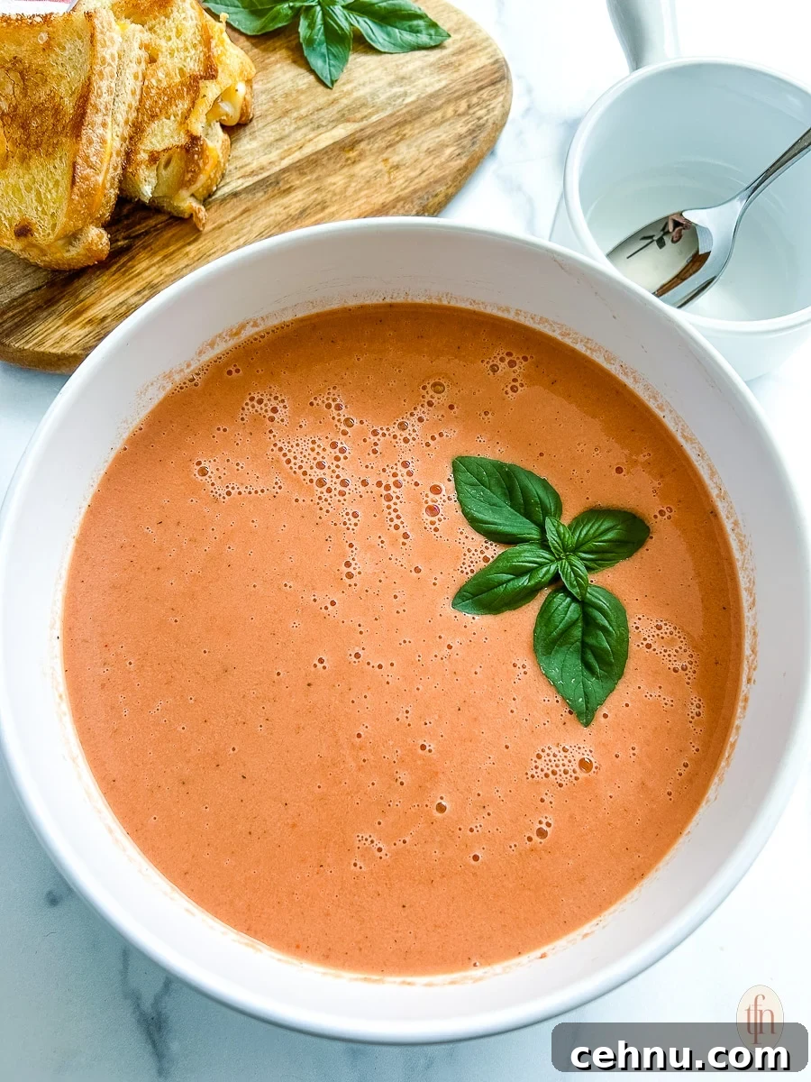 15+ Homemade Soup Recipes for Cozy Weeknight Meals 4 A white bowl filled with tomato soup and a sprig of basil on top.