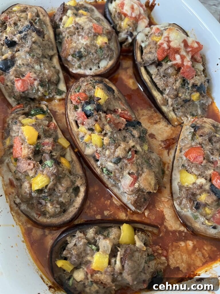 Finished Italian stuffed eggplant in roasting pan.