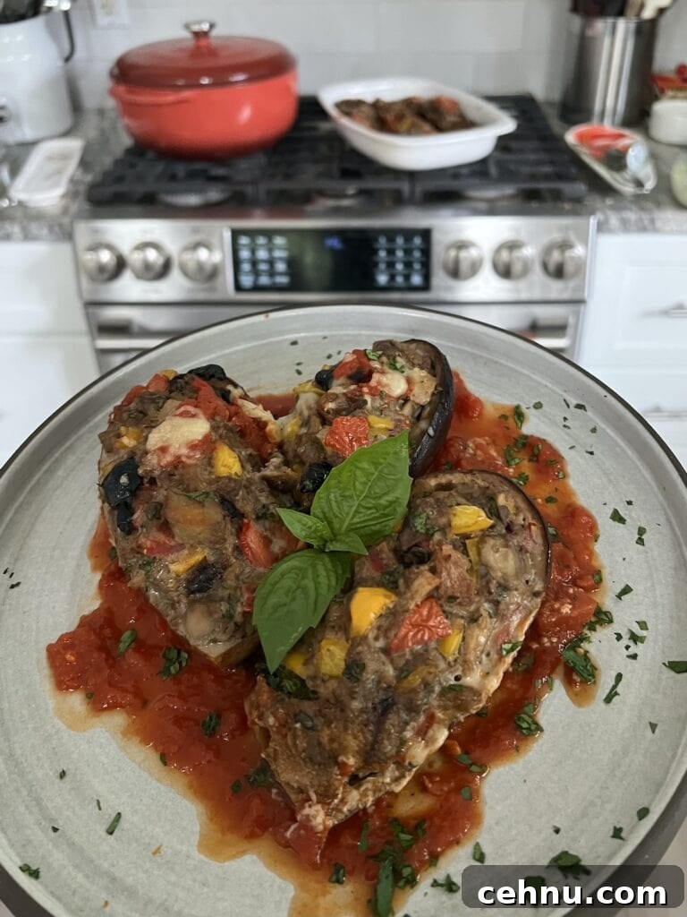 Italian Stuffed Eggplant Boats over a bed of marinara on dinner plate with fresh basil garnish with stove and range in background.