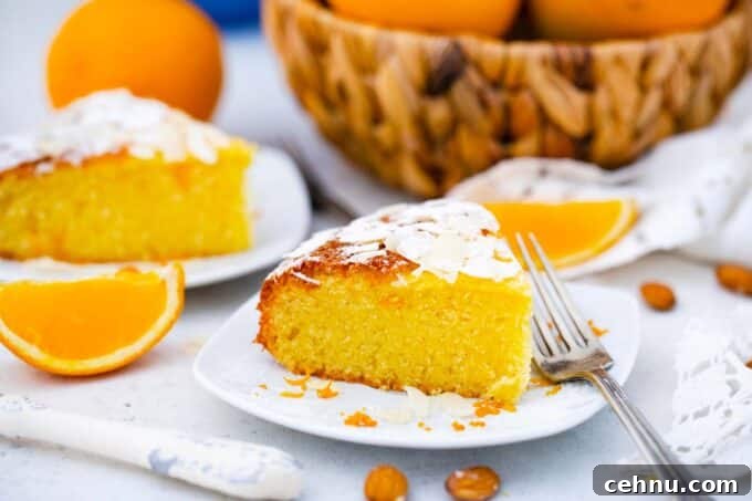 slices of almond orange cake topped with orange zest and a bowl with oranges in the background