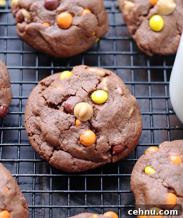 Chewy Chocolate Peanut Butter Cookies Recipe 2 Chocolate Reese's Pieces Peanut Butter Cookies