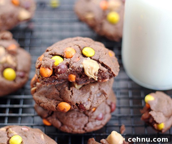 Chewy Chocolate Peanut Butter Cookies Recipe 3 Cookie dough and ingredients