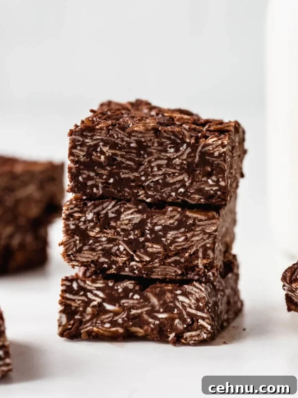 a stack of three chocolate coconut bars