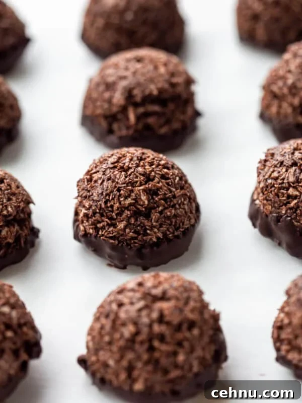 chocolate coconut macaroons dipped in chocolate