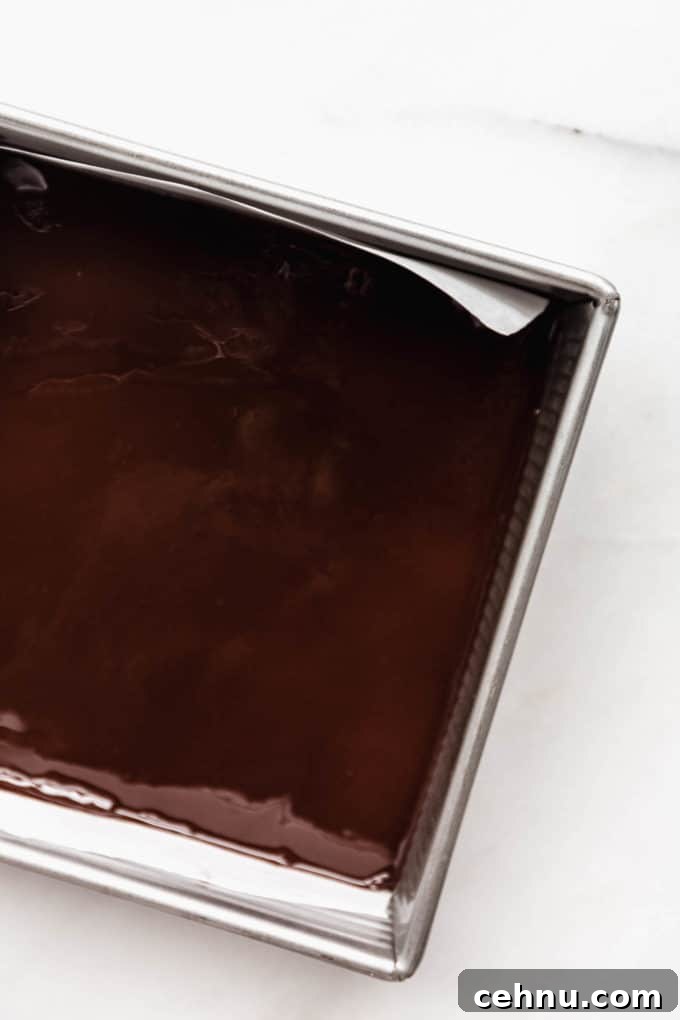 chocolate protein bars topped with melted dark chocolate.