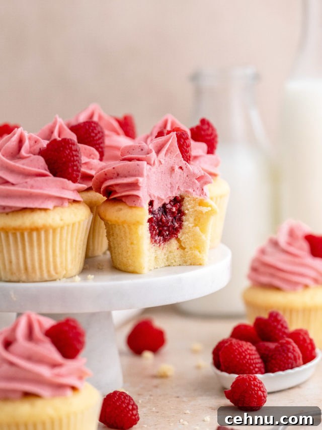 Easter Dessert Recipes to Delight Your Guests 6 Raspberry-Cupcakes-12