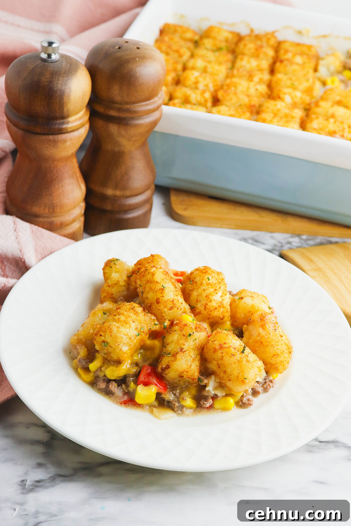 Cheesy Tater Tot Casserole with Ground Beef Recipe 2 Tater Tot Casserole served on a white plate.