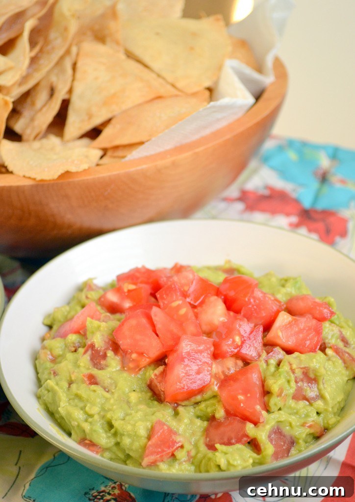 Refried Beans and Guacamole Refried Beans and Guacamole