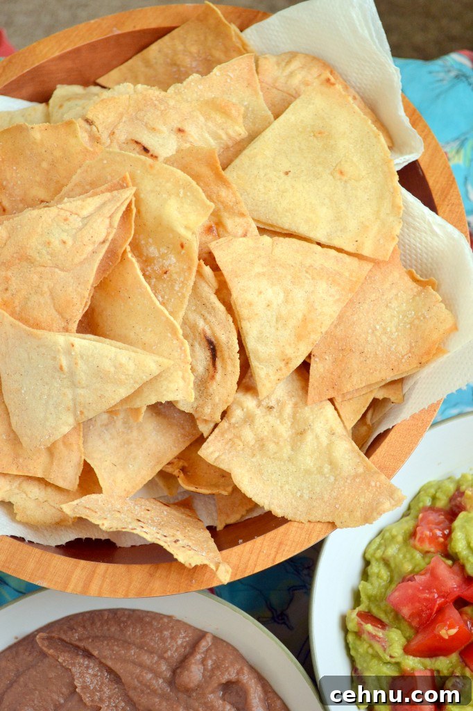 Refried Beans and Guacamole Refried Beans and Guacamole