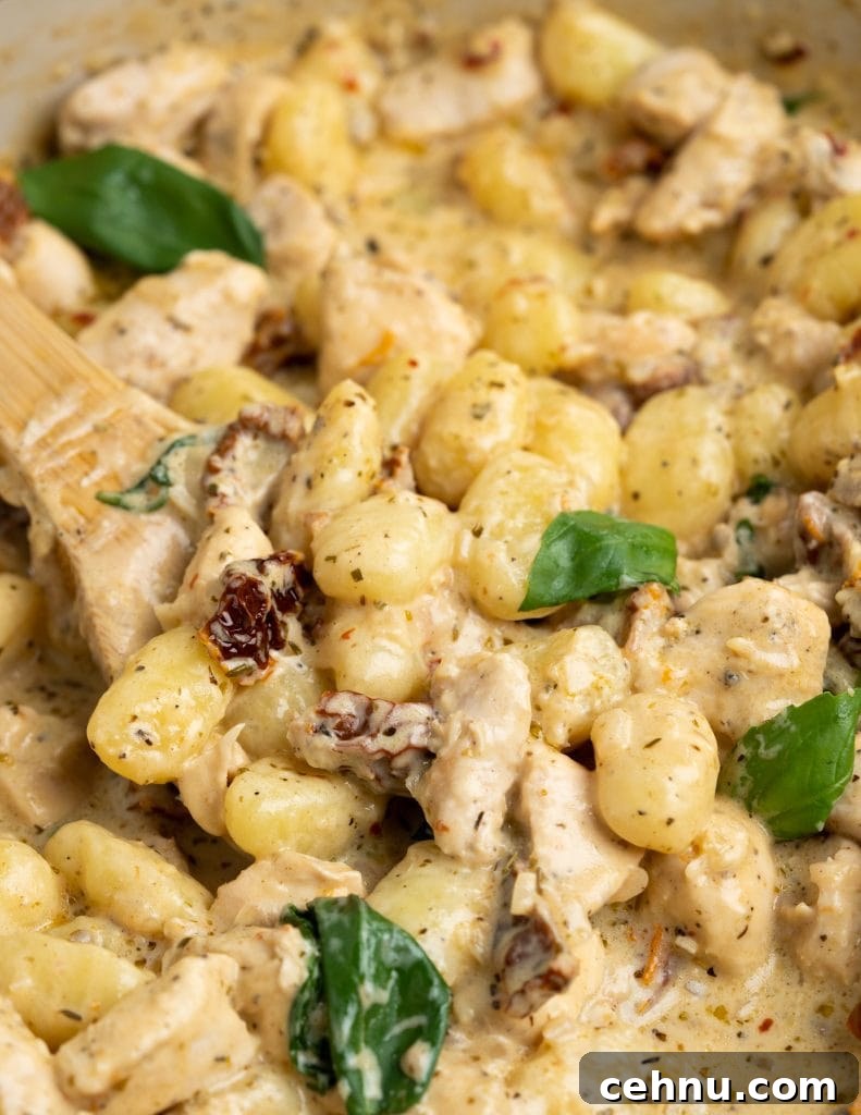 One-Pot Chorizo Gnocchi Recipe 15 Creamy Chicken Gnocchi