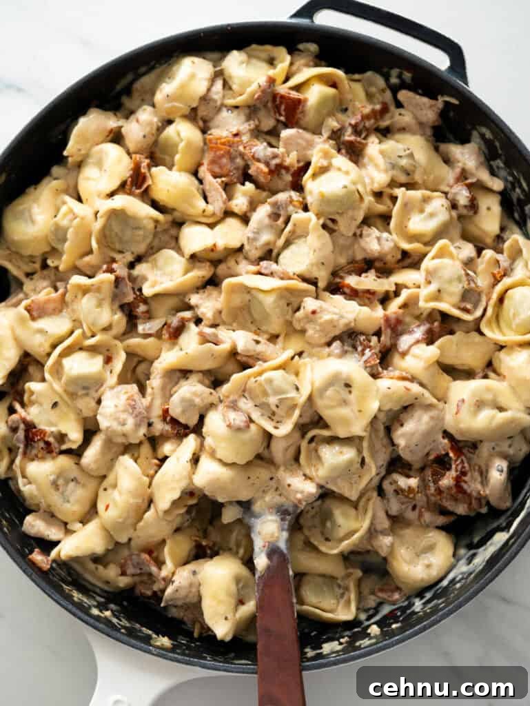 One-Pot Chorizo Gnocchi Recipe 17 One-pan Chicken Tortellini