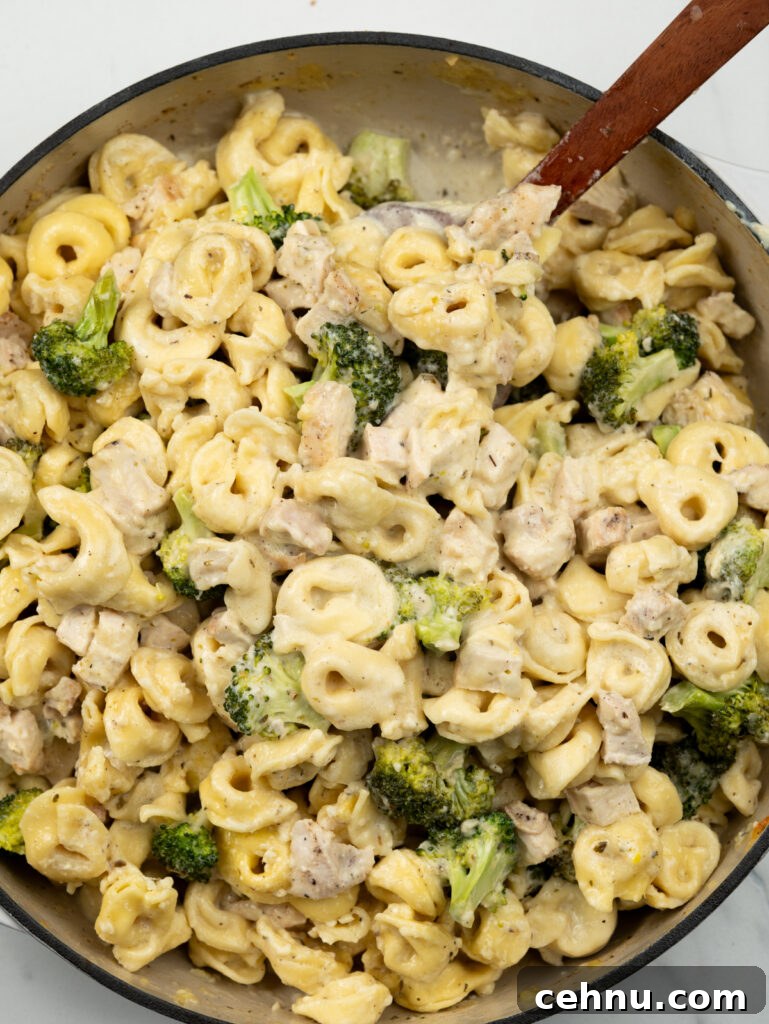 One-Pot Chorizo Gnocchi Recipe 19 Baked Chicken Tortellini