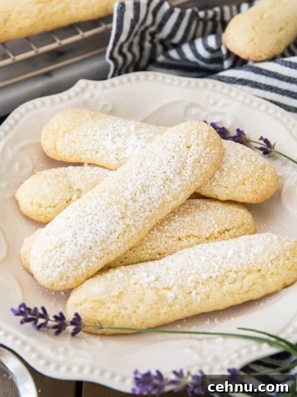Baked ladyfingers on white plate