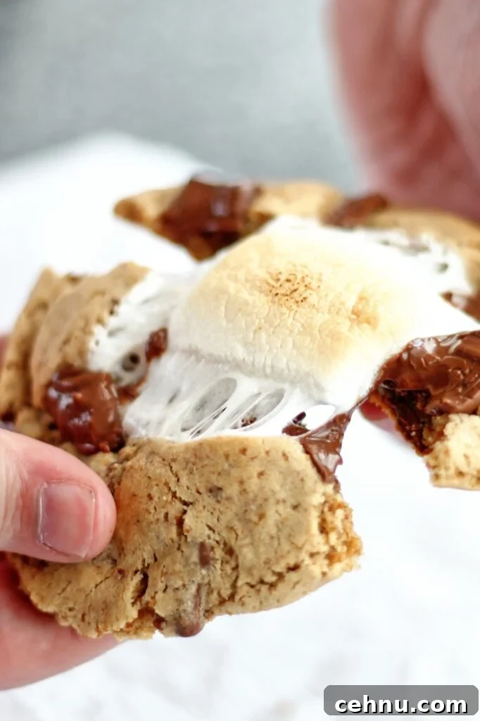 Chewy Gluten Free Smores Cookies Recipe 2 pulling apart smores cookie with melted marshmallow