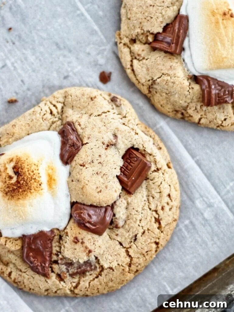 Chewy Gluten Free Smores Cookies Recipe 13 overhead shot of two smores cookies on parchment.