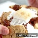 Chewy Gluten Free Smores Cookies Recipe 14 pulling apart smores cookie with melted marshmallow