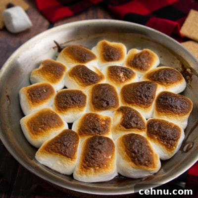 Oven S'mores Dip with Toasted Marshmallows 8 a pan with oven s'mores dip on a wood surface with a red and black checked napkin