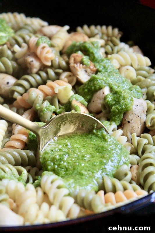 easy basil pesto pasta rotini with chicken