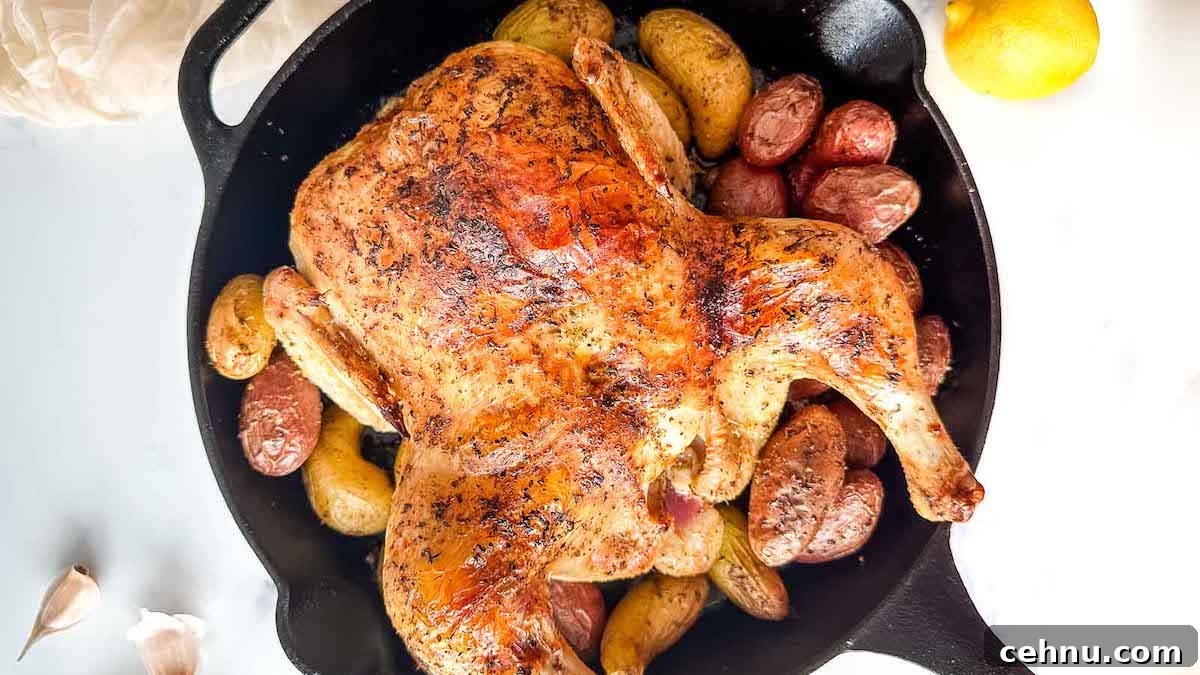 A roasted chicken with potatoes in a cast iron skillet.