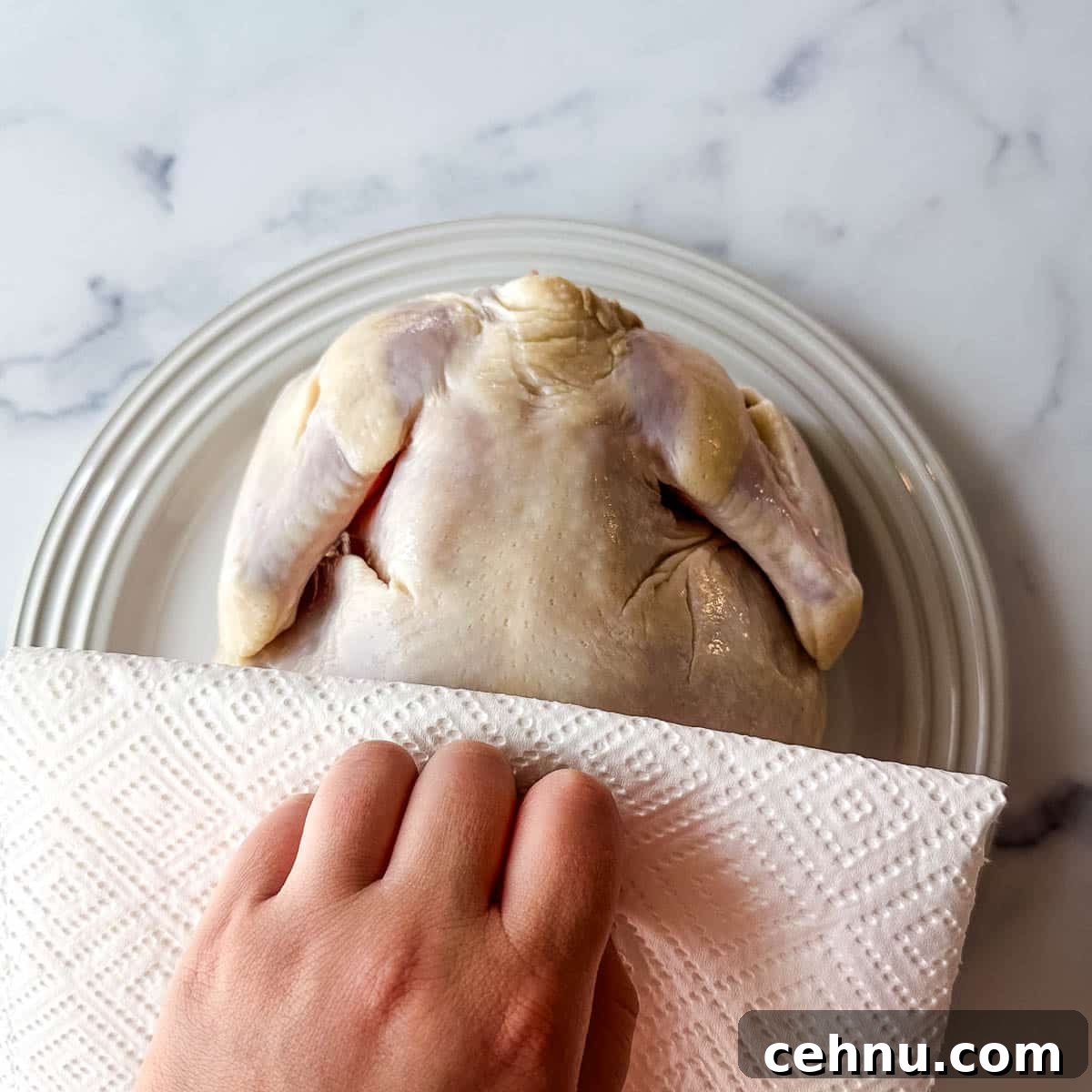 A hand is patting a chicken dry with paper towels.