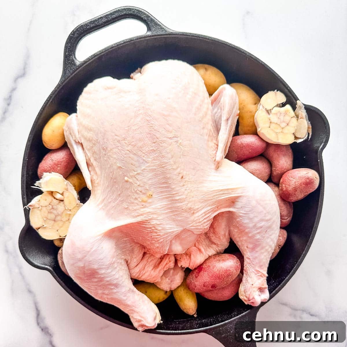 Chicken, garlic, and potatoes in a cast iron skillet.