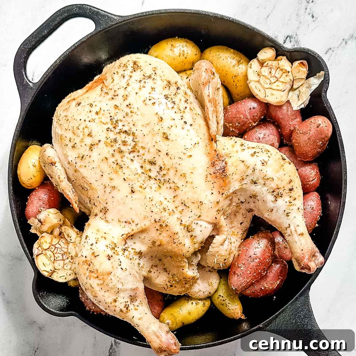 A half-cooked chicken, roasted garlic, and potatoes in a cast iron skillet.
