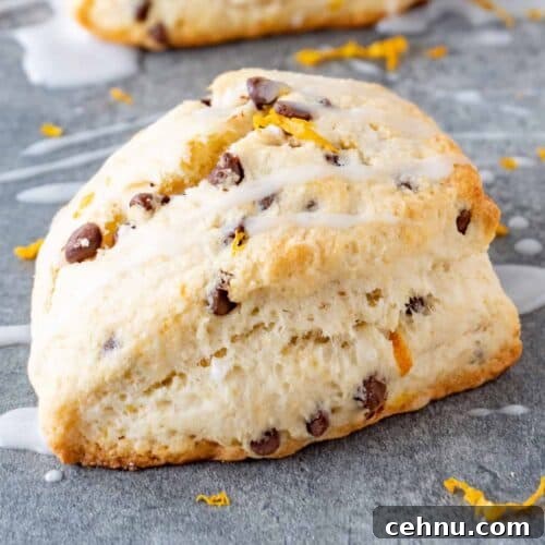 orange buttermilk scones featured image