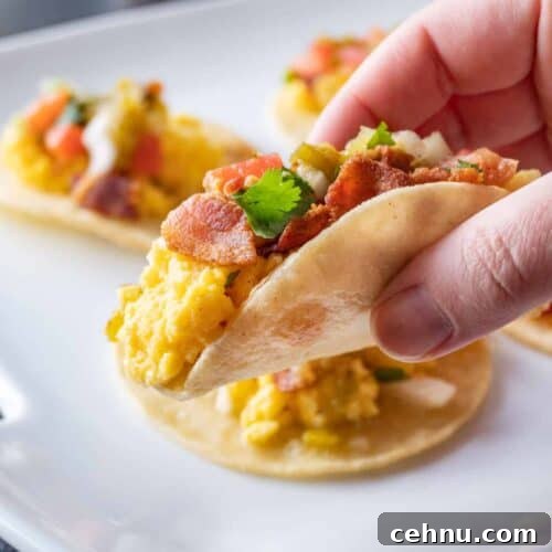 breakfast taco in hand