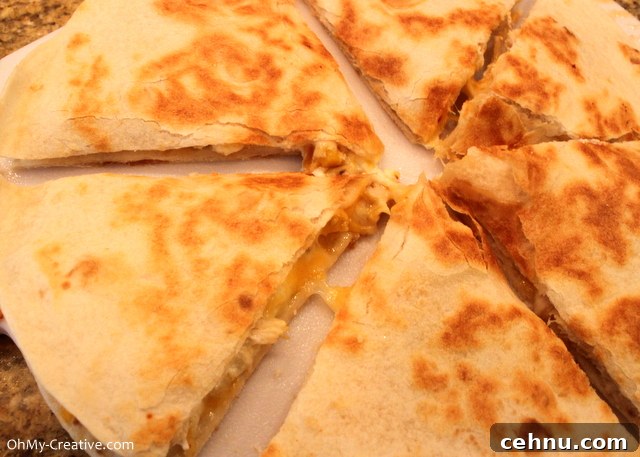 Ready to serve quesadilla Cooked quesadilla ready to serve