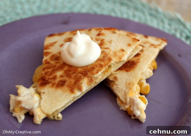 Close-up of quesadilla Goat Cheese & Corn Salsa Chicken Quesadilla close-up