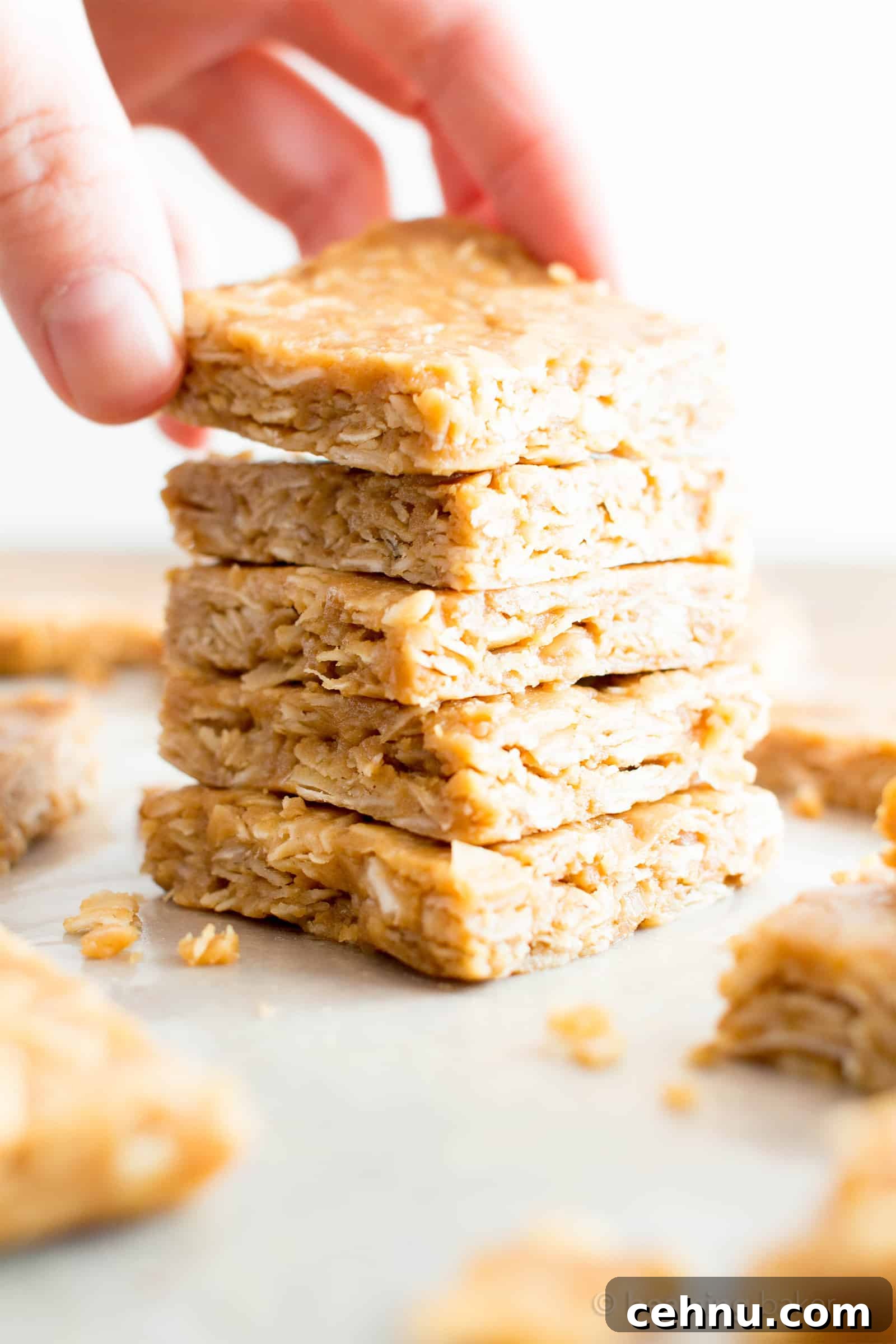 4-Ingredient No-Bake Peanut Butter Coconut Oat Bars, Vegan GF 2 4 Ingredient No Bake Peanut Butter Coconut Oatmeal Bars (V, GF): an easy, one bowl recipe for protein-rich, gluten-free oatmeal bars bursting with peanut butter and coconut. #Vegan #GlutenFree #DairyFree #HealthySnacks #ProteinRich #RefinedSugarFree #PlantBased | Recipe on BeamingBaker.com